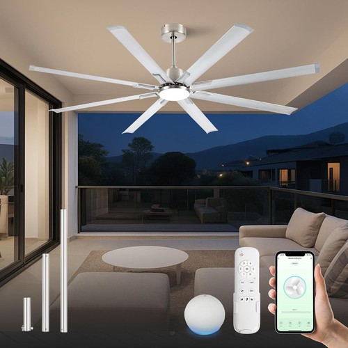 Large ceiling fan - large,
